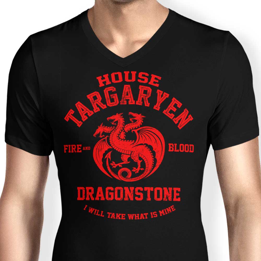 Digital Phoenix's Men's V-Neck 'Fire and Blood' T-Shirt