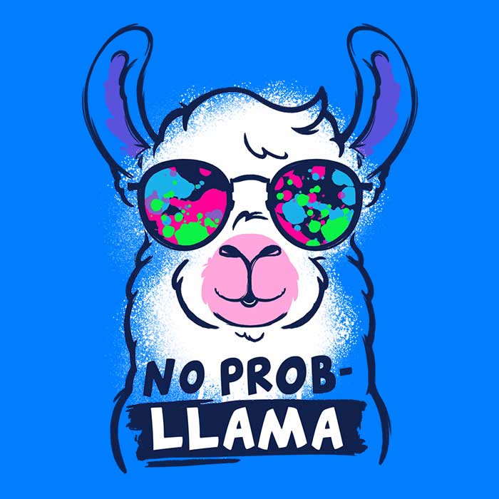 No Probllama Long Sleeve Crewneck T-Shirt by NemiMakeIt