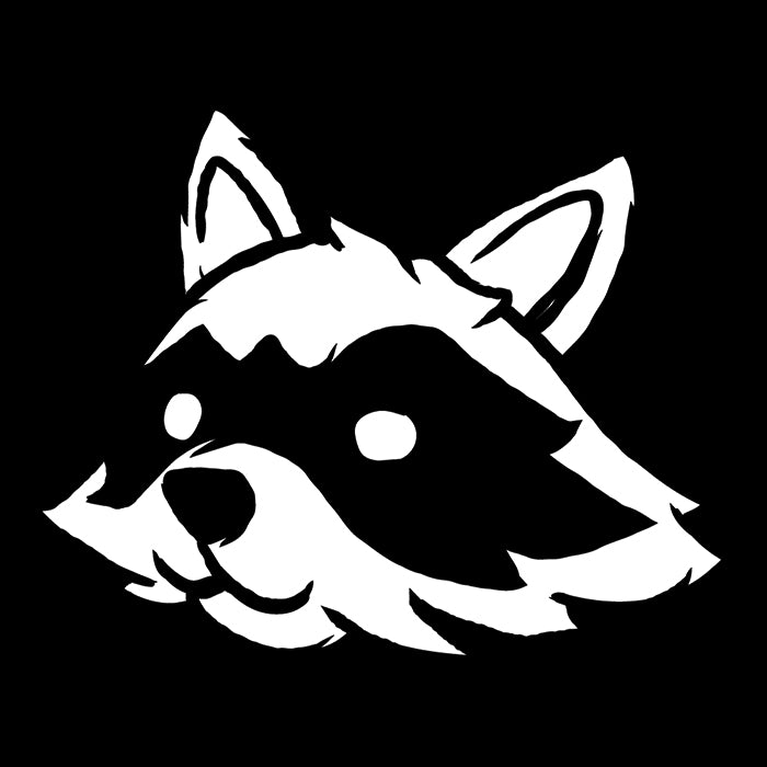 Lost Raccoon Stylish Ringer T-Shirt from Lost Woods